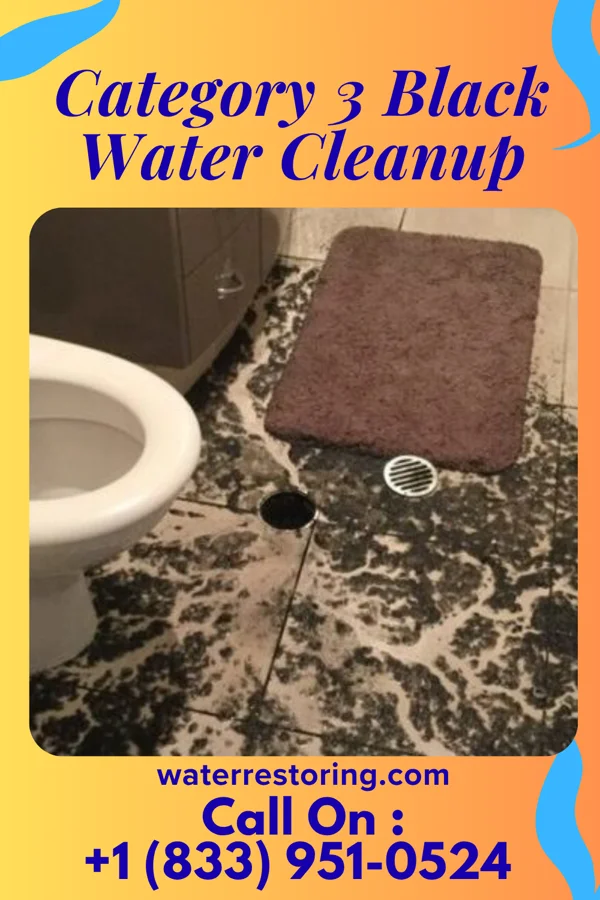 Category 3 Black Water Cleanup in Lower Elochoman, WA